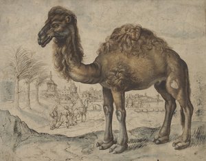 都市のある東の風景の中のヒトコブラクダ、1600年（紙にインクとブラシ） 作： Maarten de after Vos